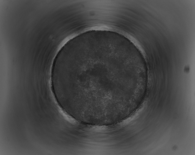 X0000101140845200807181253