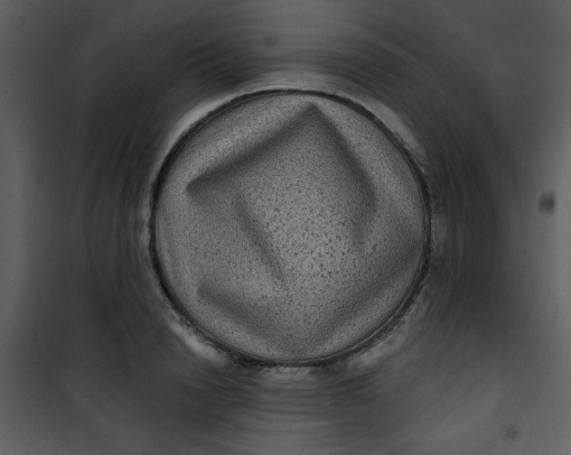 X0000101140846200807181253