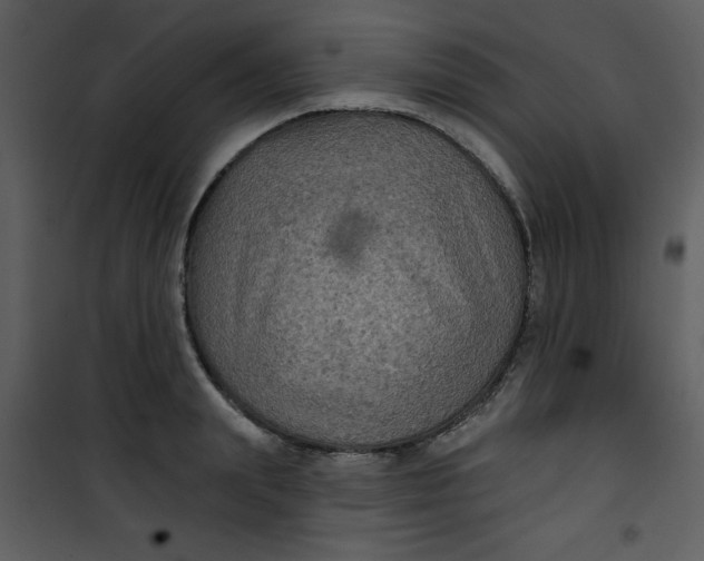 X0000101140847200807181253