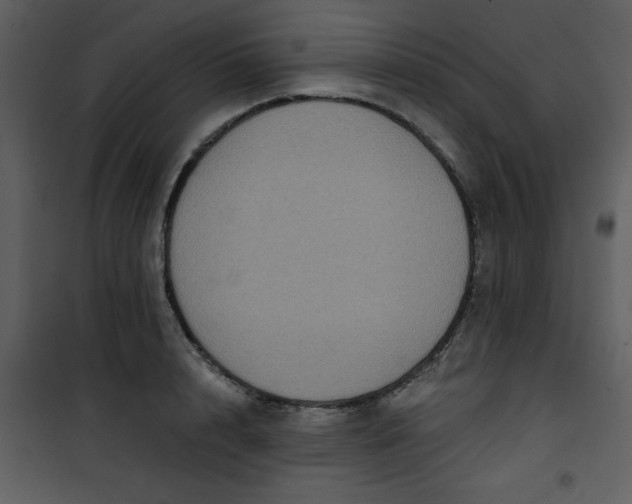 X0000101140848200807181253