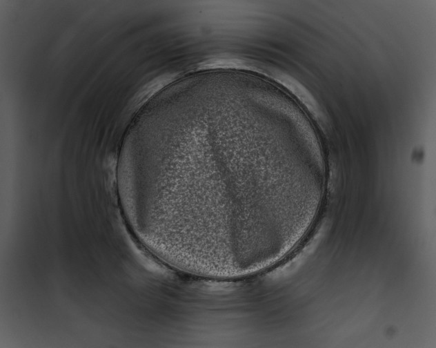 X0000101140849200807181253