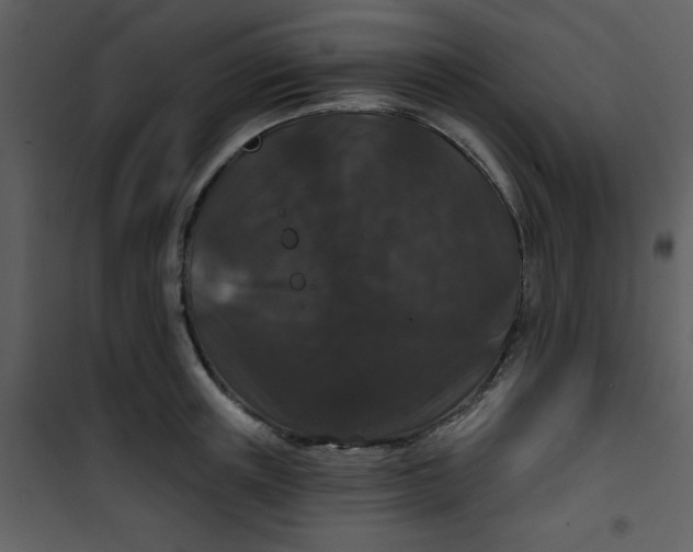 X0000101140851200807181253