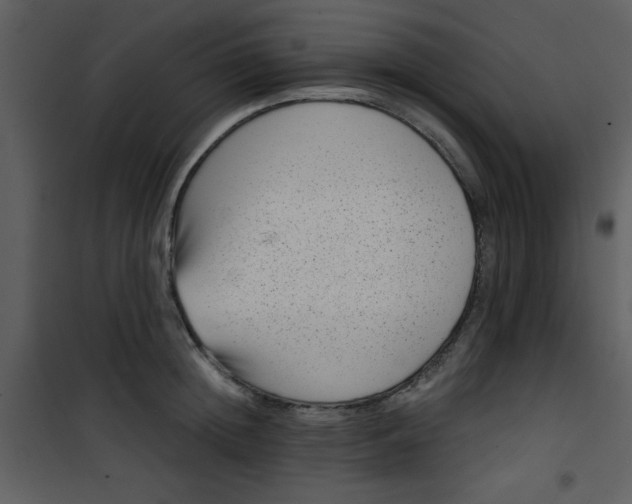 X0000101140852200807181253