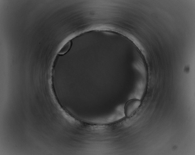 X0000101140853200807181253