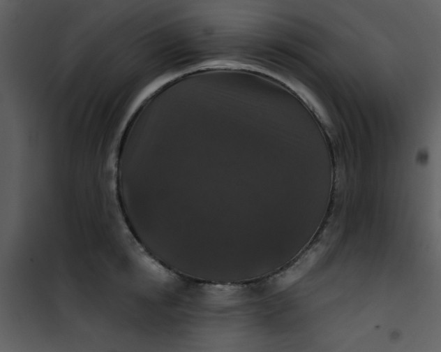 X0000101140854200807181253