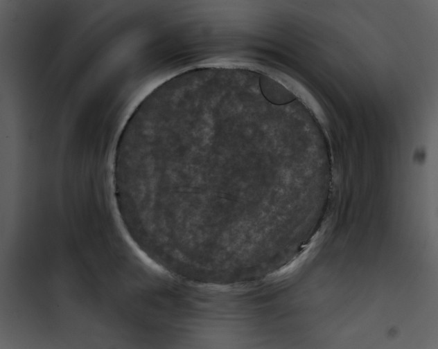 X0000101140855200807181253