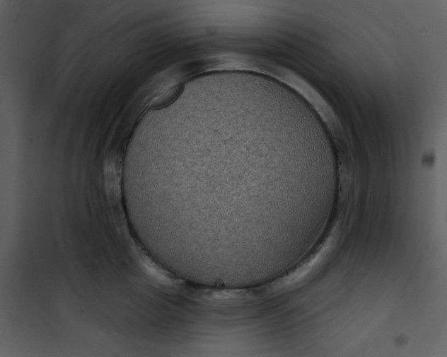 X0000101140857200807181253