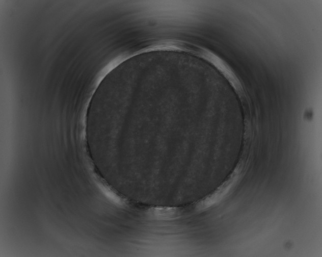 X0000101140858200807181253