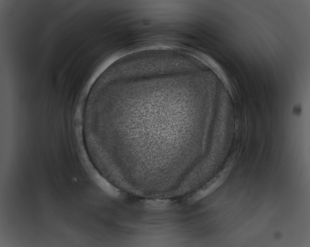 X0000101140859200807181253