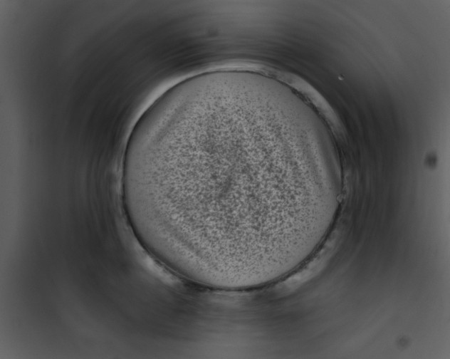 X0000101140860200807181253