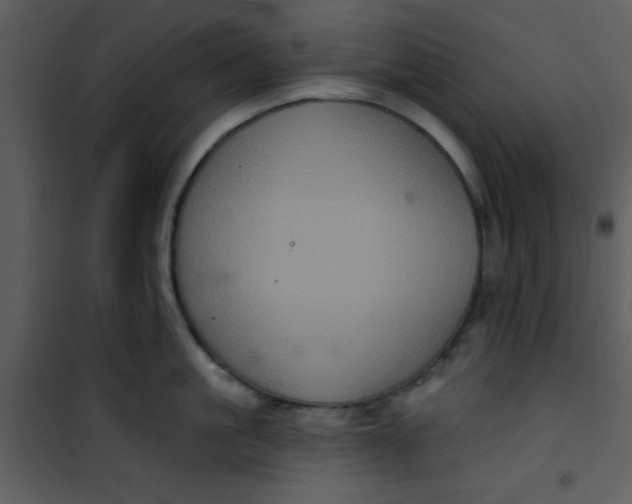 X0000101140861200807181253