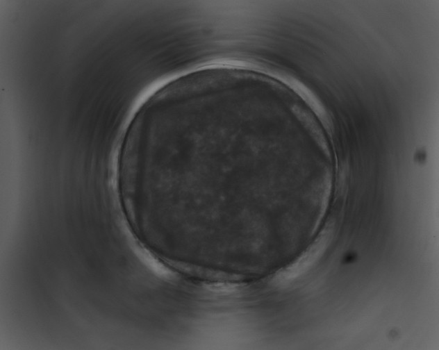 X0000101140862200807181253