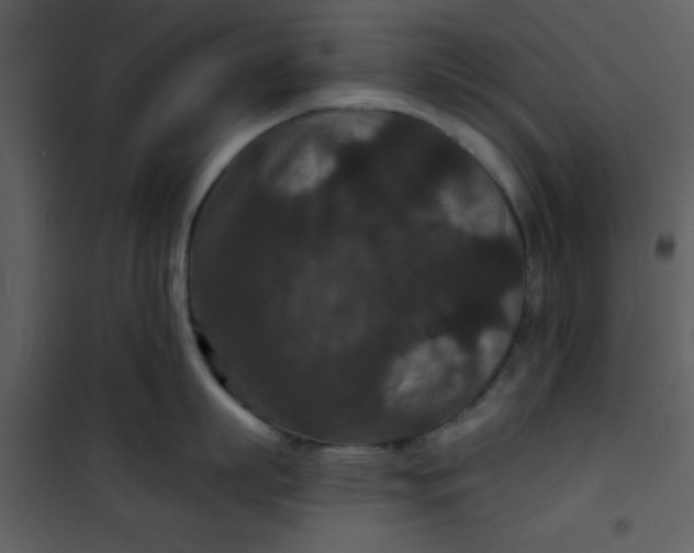 X0000101140863200807181253