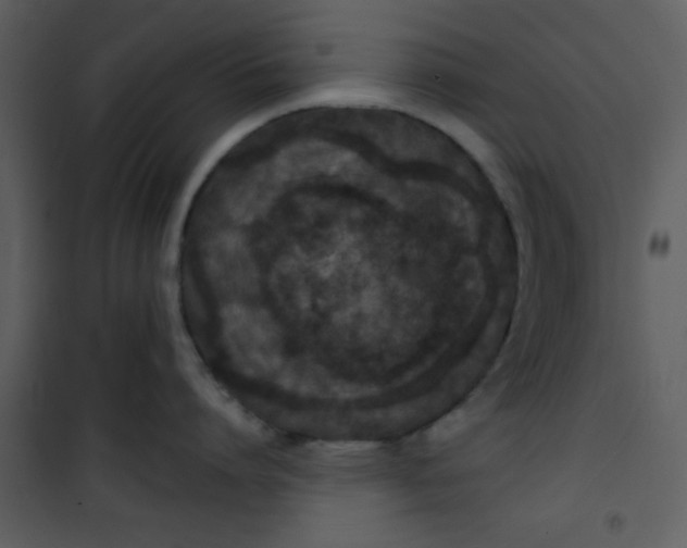 X0000101140864200807181253