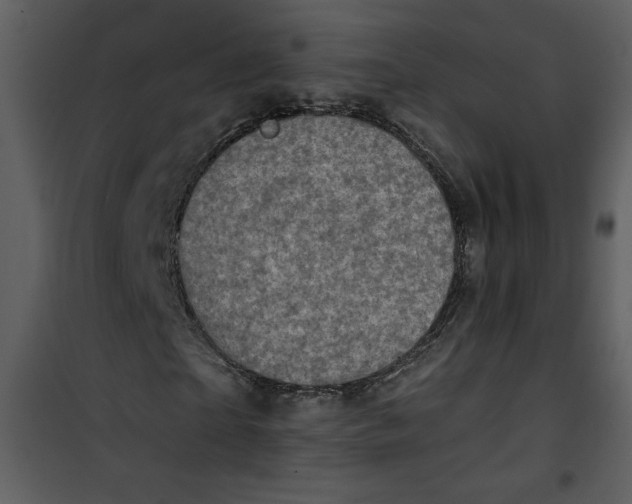 X0000101140865200807181252