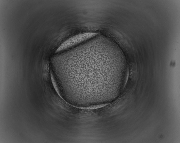 X0000101140866200807181252