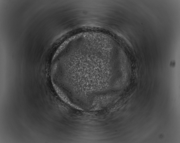 X0000101140870200807181252