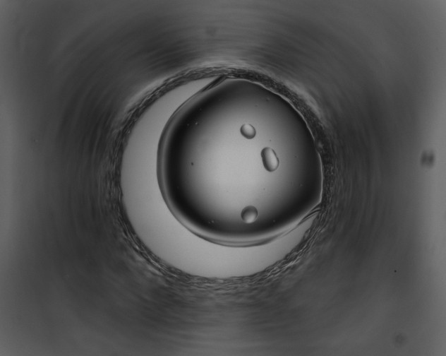 X0000101140872200807181252