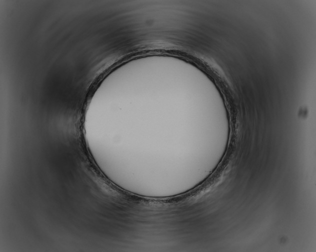 X0000101140873200807181252