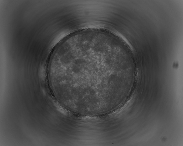 X0000101140874200807181252