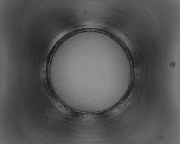 X0000101140875200807181252