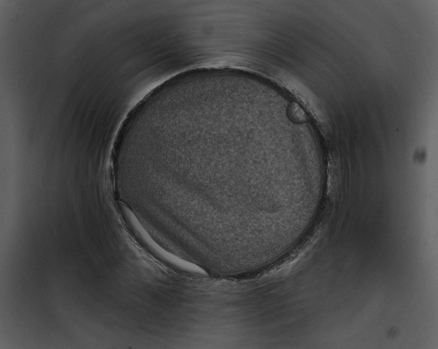 X0000101140876200807181252