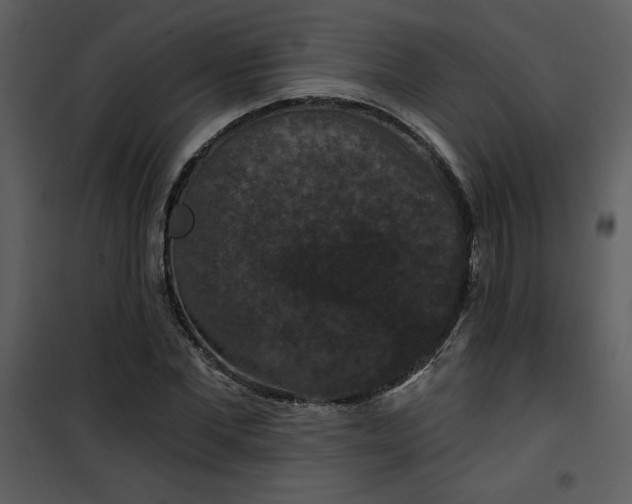 X0000101140877200807181252