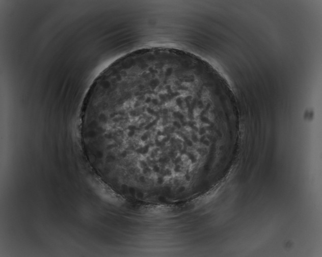 X0000101140879200807181252