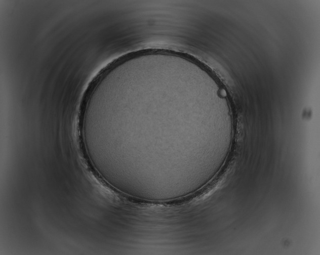 X0000101140880200807181252