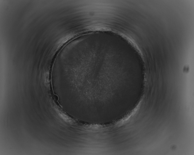 X0000101140881200807181252