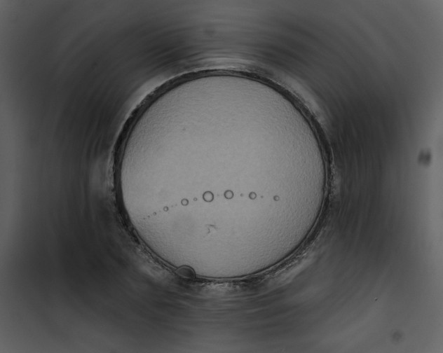 X0000101140883200807181252