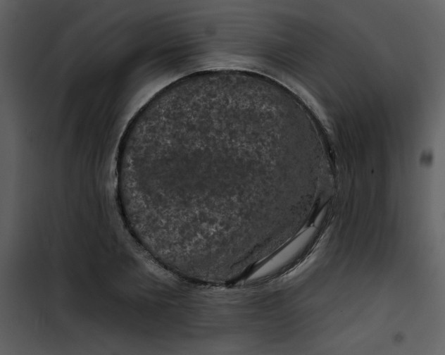 X0000101140885200807181252