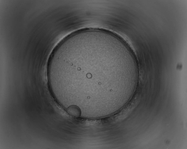 X0000101140887200807181252