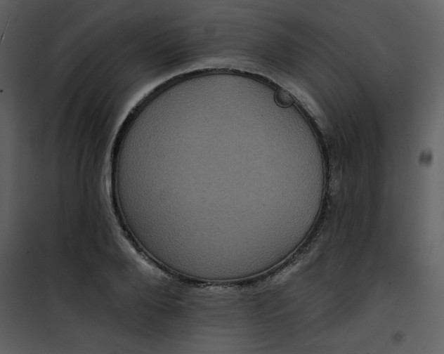 X0000101140888200807181252