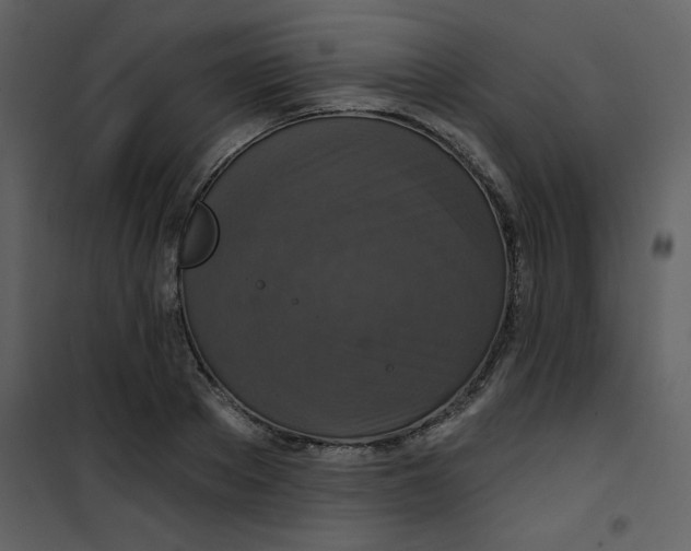 X0000101140889200807181252