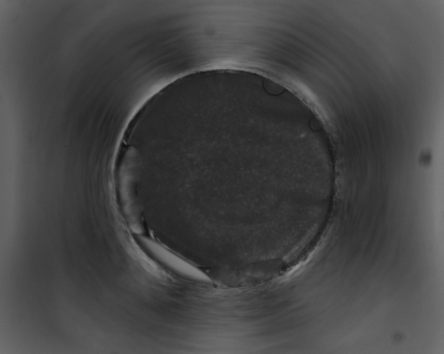 X0000101140892200807181252