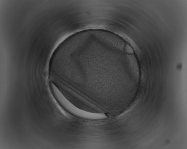 X0000101140894200807181252