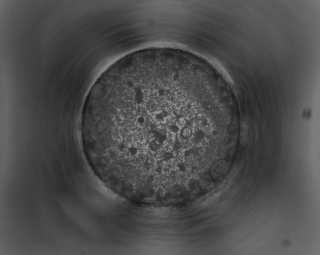 X0000101140895200807181252