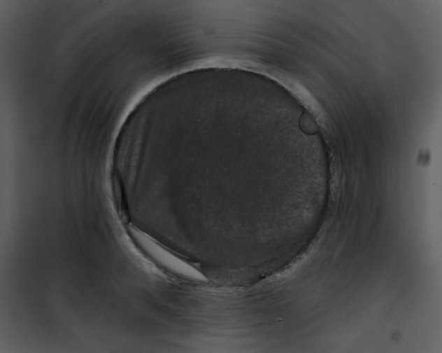 X0000101140896200807181252