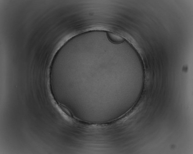 X0000101140898200807181252