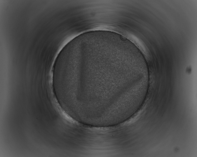 X0000101140900200807181252