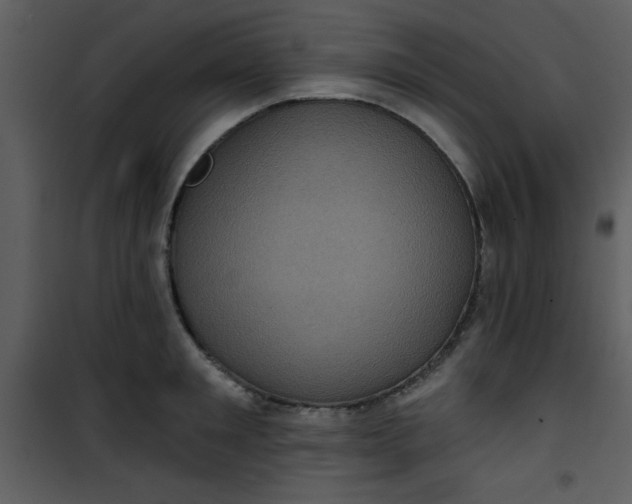 X0000101140901200807181252