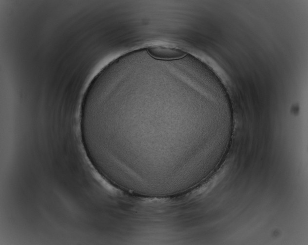 X0000101140902200807181252