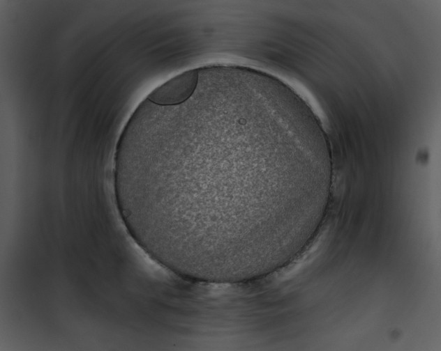 X0000101140903200807181252