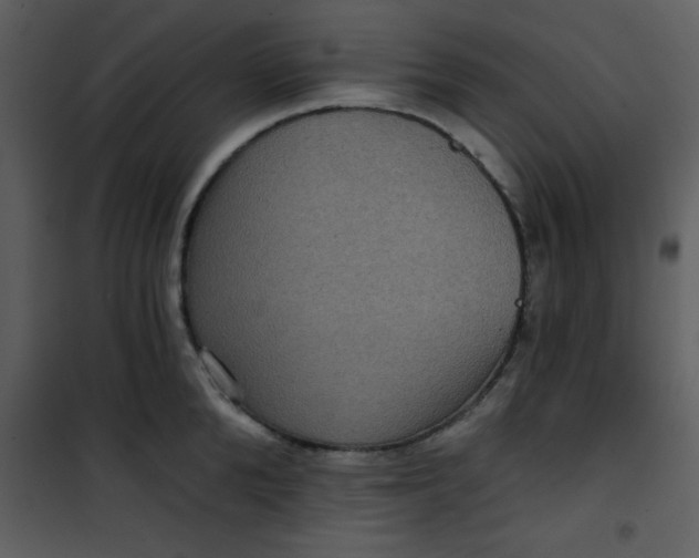 X0000101140904200807181252