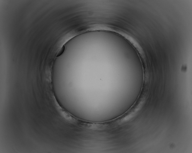 X0000101140905200807181252