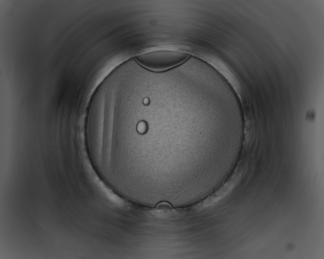 X0000101140906200807181252