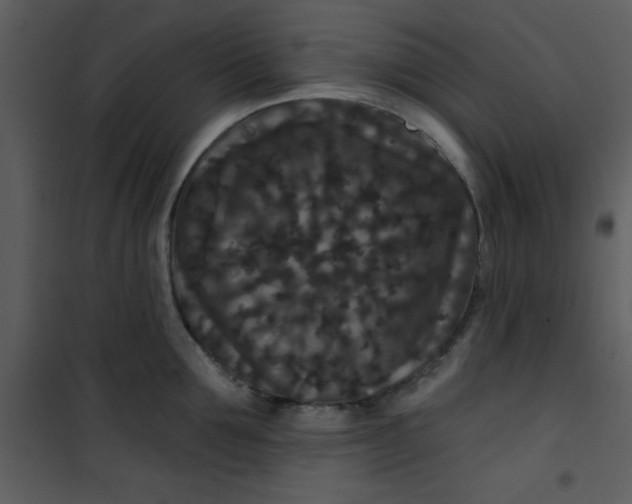 X0000101140907200807181252