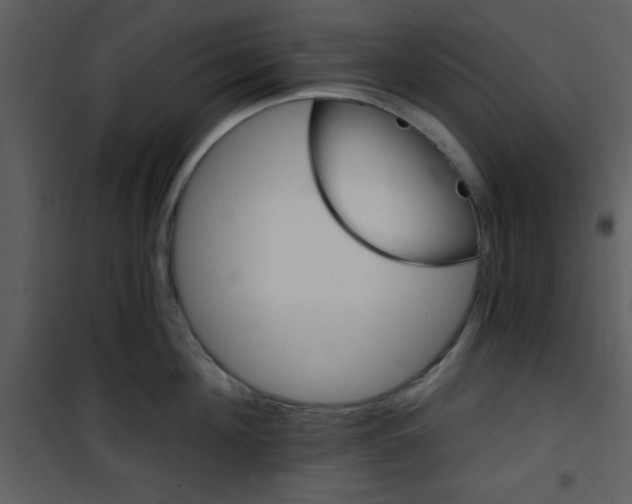 X0000101140908200807181252