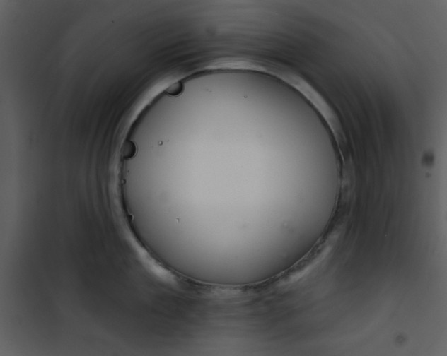 X0000101140909200807181252